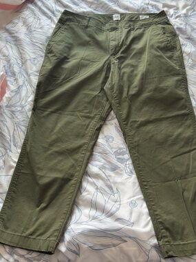 GAP Olive 14P Green Chino Pants